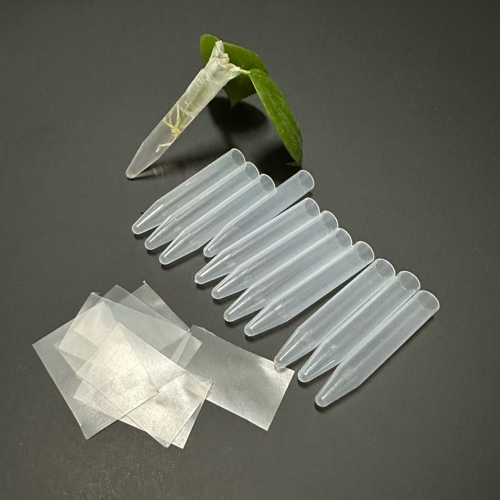 Clear Plant/ Hoya Propagation Tubes with Film Covers 12 pcs.